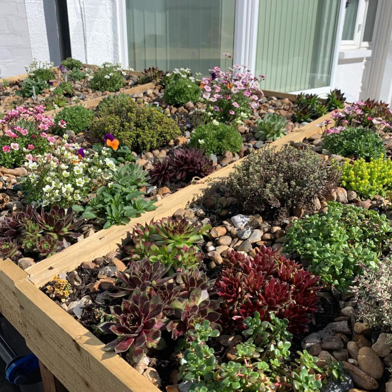 Rockery